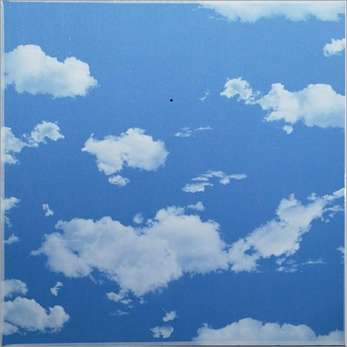 SKY CLOUD PVC Plastic