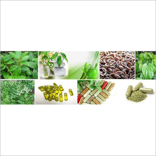 Ayurvedic Third Party Manufacturing Service - Premium Herbal Quality, Tailored Formulations, Eco-Friendly Practices