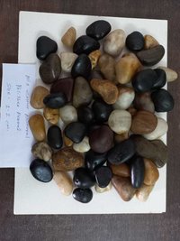 Indian River Off White Yellow high Polished Pebbles With High Glossy Shinn