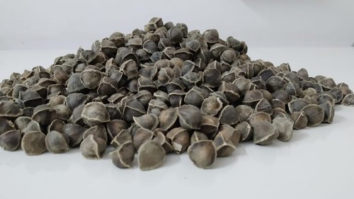 Moringa seeds without wings