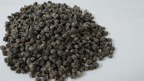 Moringa seeds without wings