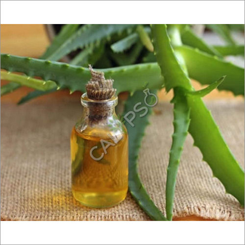 Aloe Vera Oil