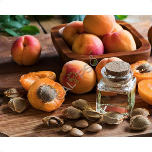 Apricot Kernal Carrier Oil