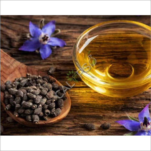 Borage Carrier Oil