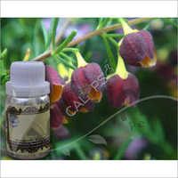 Boronia Absolute Oil