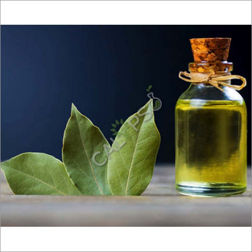 Bay Leaf Oil Age Group: All Age Group