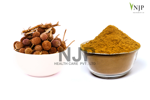 Gorakhmundi Aqueous Extract