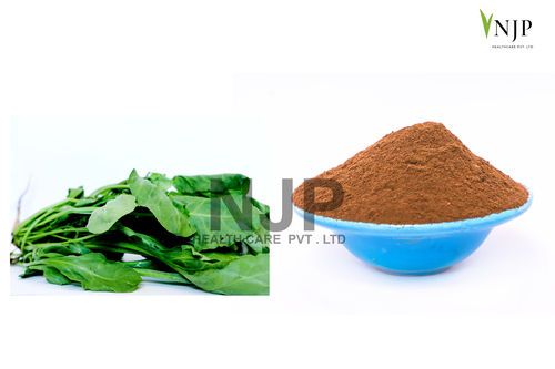 Spinach Aqueous Extract Ingredients: Herbs