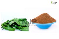 Spinach Aqueous Extract