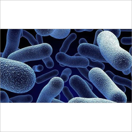 Aquatic Aqua Probiotics