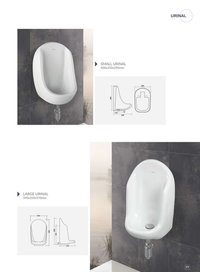 Urinal And Pan