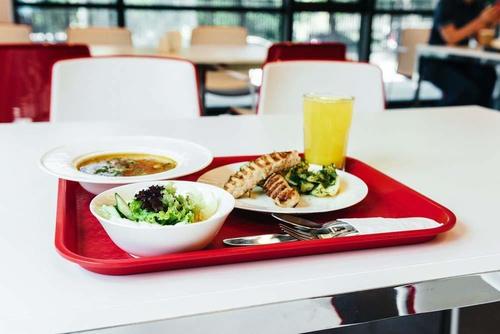 Serving Fast Food, Tea, Coffee, Dinner, Food Grade with High-Quality Unbreakable Material (16 X 12 Inches) (Set of 3)