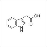 Indole-3-Acetic Acid (IAA)