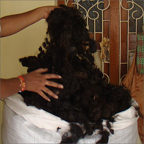 Unprocessed Bulk Human Hair