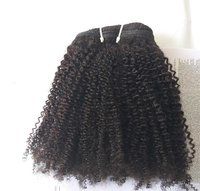 Steamed Afro Micro Kinky Curly Human Hair