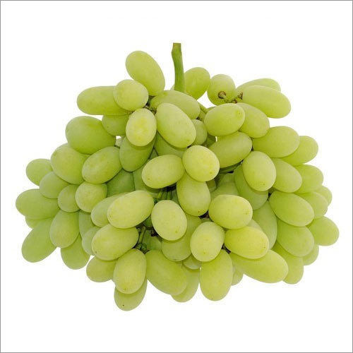 Round Fresh Grapes