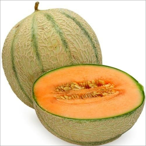 Fresh Muskmelon