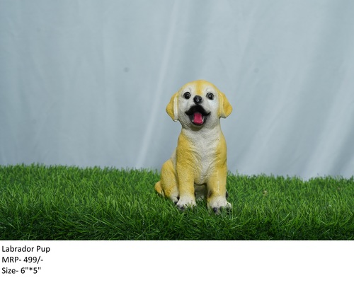 Yellow Labrador Pup