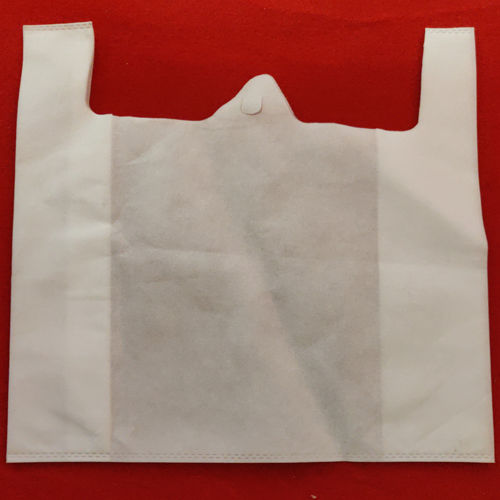 Metallic Laminated Silver Color Non Woven Loop Handle Bag, Manufacturer of Non  Woven Bags