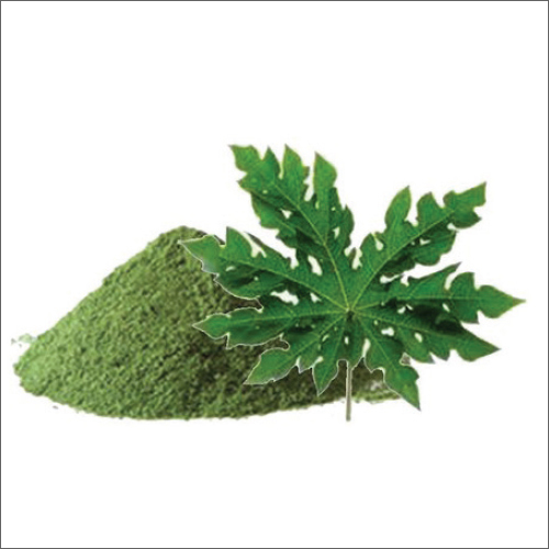 Papaya Leaf Extract Powder Grade: A