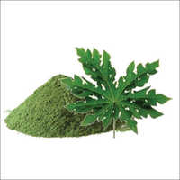 Papaya Leaf Extract Powder