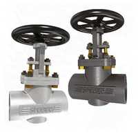 Extended Bonnet Globe-Gate Valve F-E