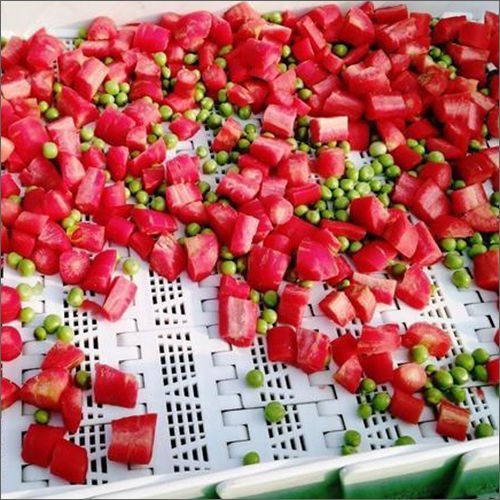 Vegetable Washing Belt Conveyor