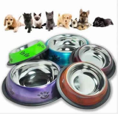 Stainless Steel Color Designer Dog Bowl