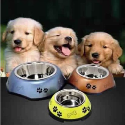 Stainless Steel Color Designer Dog Bowl