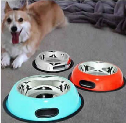 Stainless Steel Color Designer Dog Bowl