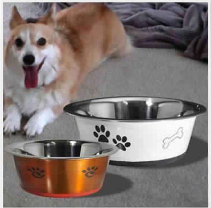 Stainless Steel Colored Designer Pet Bowl