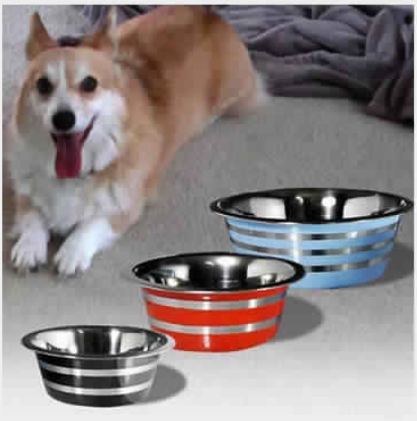 Stainless Steel Colored Silver Lining Pet Bowl