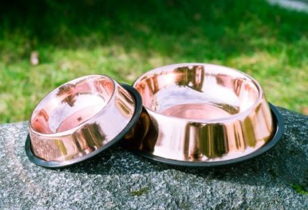 Copper Dog Bowl Cubowl