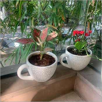 Ceramic Cup Shaped White Flower Pot
