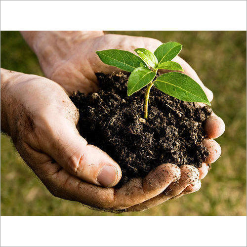 Compost Based Organic Fertilizer Powder