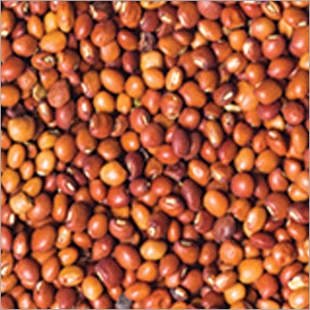 Organic Toor Whole Beans Grade: A
