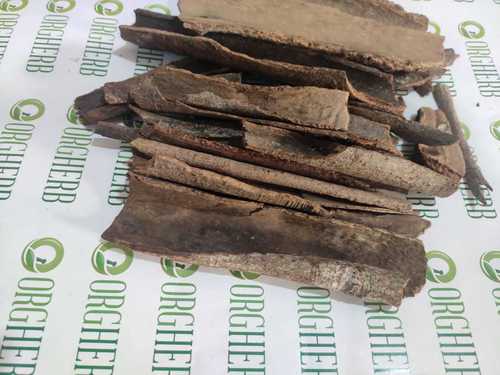 Cinnamon Bark