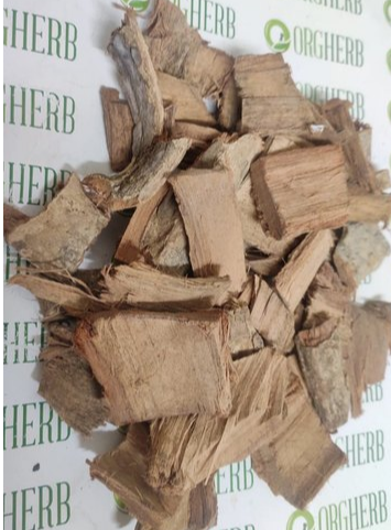 Padhal Bark