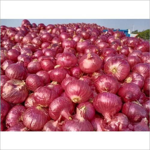 Fresh Red Onion