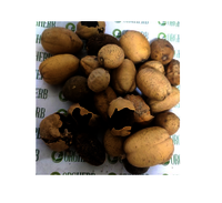 Hingot Fruit
