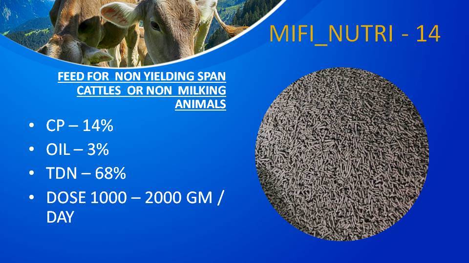 MIFI NUTRI