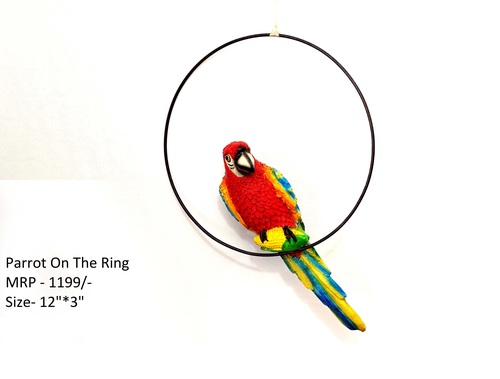 Multi Color Parret On The Ring
