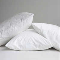 पिलो और पिलो कवर