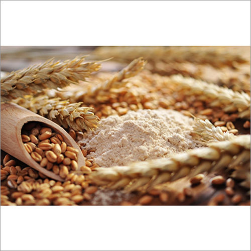 Whole Wheat Flour