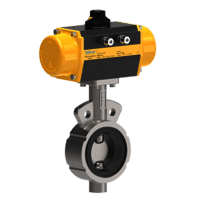 SS Butterfly Valve