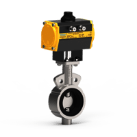 Replaceable Seated Butterfly Valve