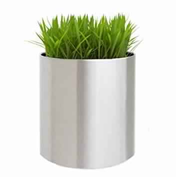 Stainless Steel Plain Planter