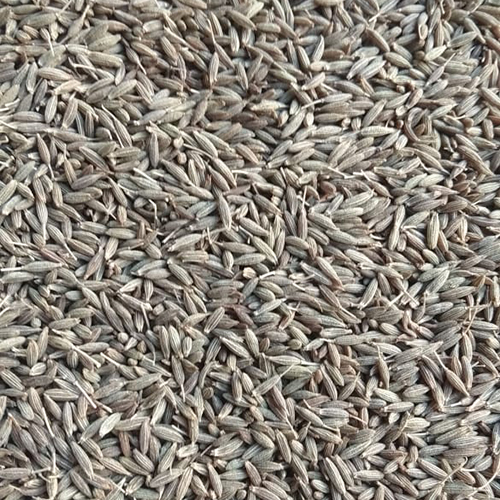 Cumin Seeds By STARX INDUSTRIES PRIVATE LIMITED