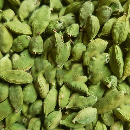 Green Cardamom By STARX INDUSTRIES PRIVATE LIMITED