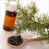 Marjoram Oil